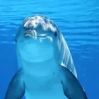ユーザー画像