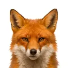 ユーザー画像