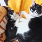 ユーザー画像