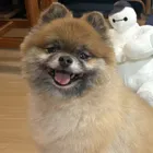 ユーザー画像