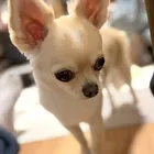 ユーザー画像