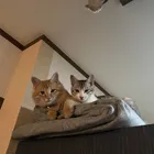 ユーザー画像
