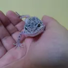 ユーザー画像