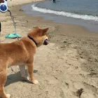 ユーザー画像