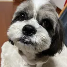 ユーザー画像