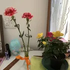 ユーザー画像