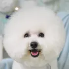 ユーザー画像