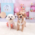 ユーザー画像