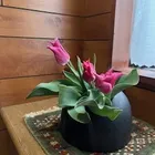 ユーザー画像