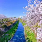 ユーザー画像