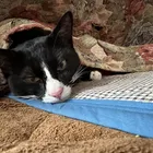 ユーザー画像