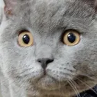 ユーザー画像