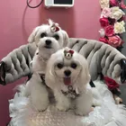 ユーザー画像