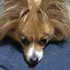 ユーザー画像