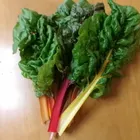 ユーザー画像