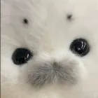 ユーザー画像