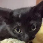 ユーザー画像