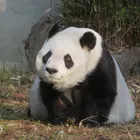 ユーザー画像
