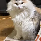 ユーザー画像