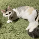 ユーザー画像