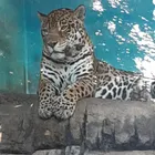 ユーザー画像