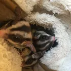 ユーザー画像