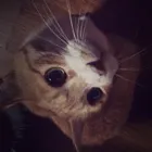 ユーザー画像