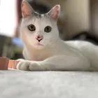 ユーザー画像