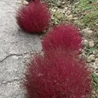 ユーザー画像