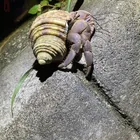 ユーザー画像