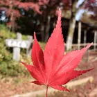 ユーザー画像