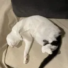 ユーザー画像