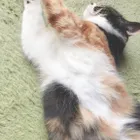 ユーザー画像