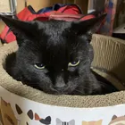 おにぎりあんこ