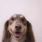 ユーザー画像