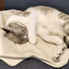 ユーザー画像