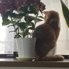 ユーザー画像