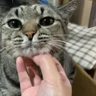ユーザー画像