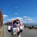 ユーザー画像