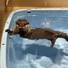 ユーザー画像