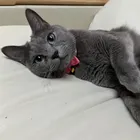 ユーザー画像
