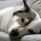 ユーザー画像