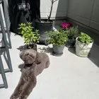 ユーザー画像