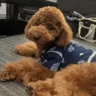 ユーザー画像