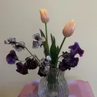 ユーザー画像