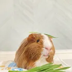 ユーザー画像