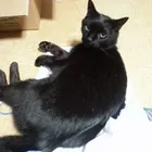 ユーザー画像