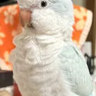 ユーザー画像