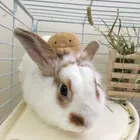 ユーザー画像