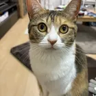 ユーザー画像